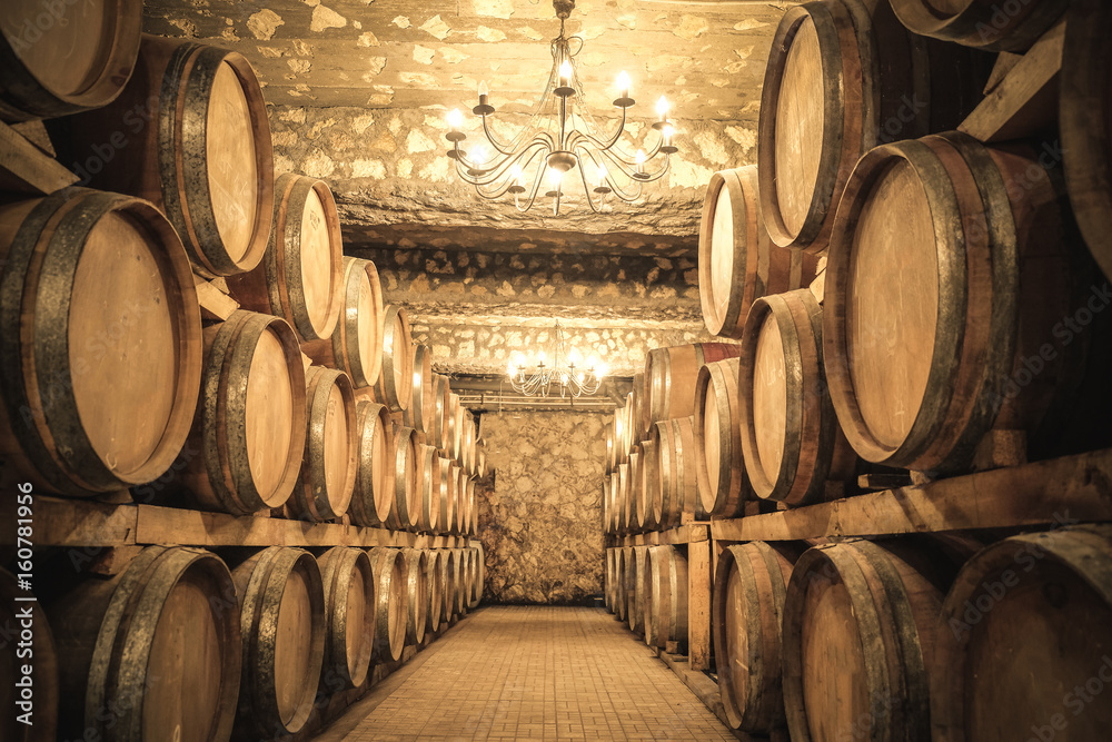 Wine barrels in the cellar