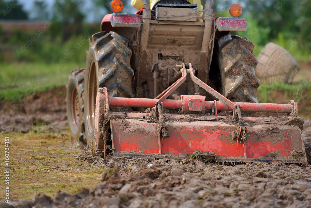 Obraz premium Agriculture workers with tractors to prepare crops, rice farming.