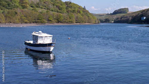 Cornish river with day cruiser  © David George
