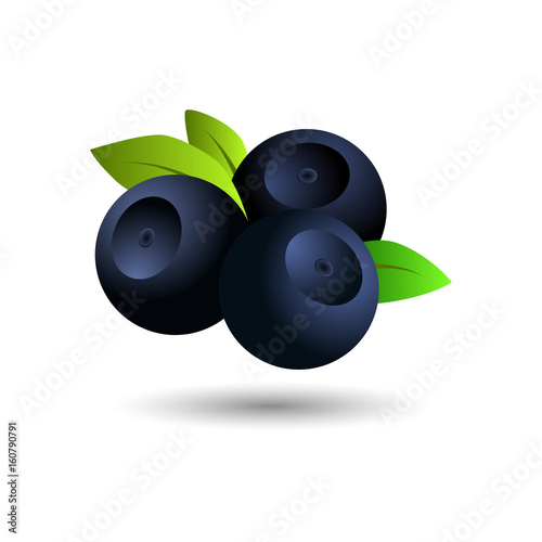 Vector blueberry icon. Flat cartoon illustration