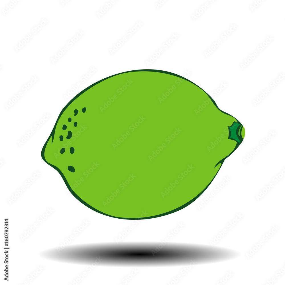 Vector illustration of a lime. Vector illustration of a lime.
