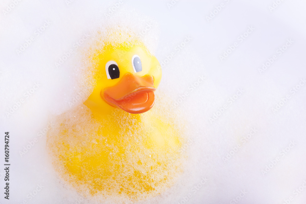 Rubber duck in the bath tub Rubber duck in the bath tub