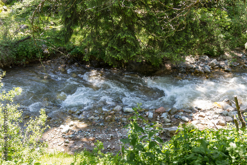 Fototapeta Naklejka Na Ścianę i Meble -  Beautiful mountain stream under the big spruce