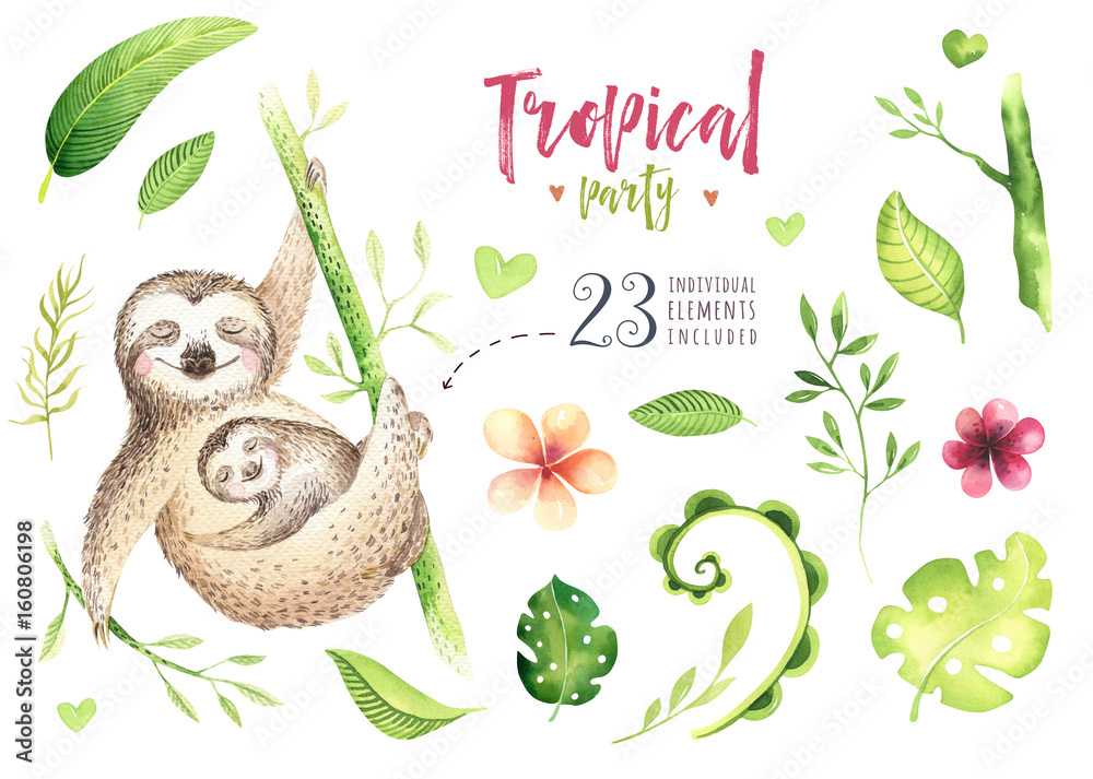 Baby animals sloth nursery isolated painting. Watercolor boho tropical drawing, child tropical illustration. cute palm tree leaves, tropic green texture, exotic flower. Aloha drawing Stock Illustration | Adobe Stock Baby animals sloth nursery isolated painting. Watercolor boho tropical drawing, child tropical illustration. cute palm tree leaves, tropic green texture, exotic flower. Aloha drawing Stock Illustration | Adobe Stock