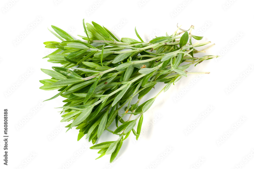 Thyme fresh herb isolated on white background Thyme fresh herb isolated on white background