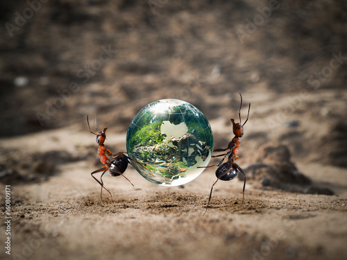 The ants carry the green planet through the dry Sands photo