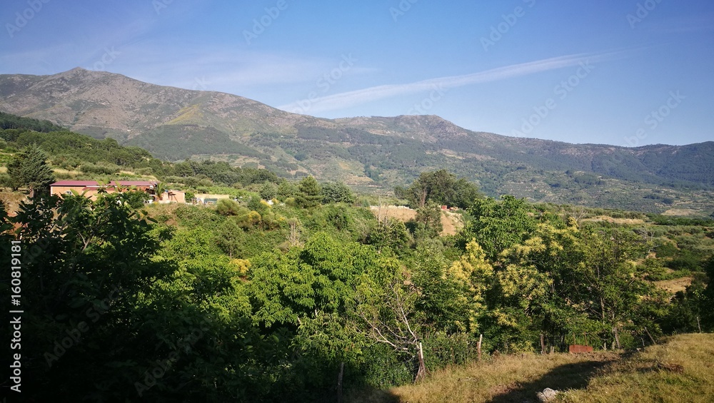Obraz premium landscape