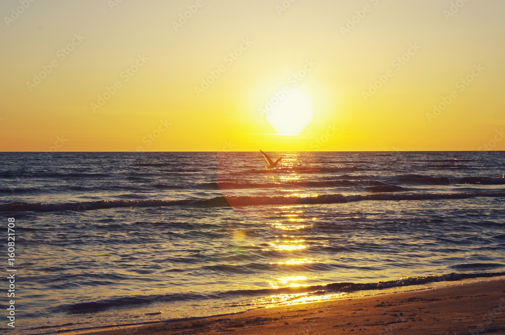 Sunset at the sea. Sea evening landscape
Sunset at the sea. Sea evening landscape