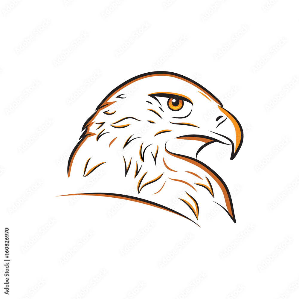 Fototapeta premium Eagle head outline vector illustration