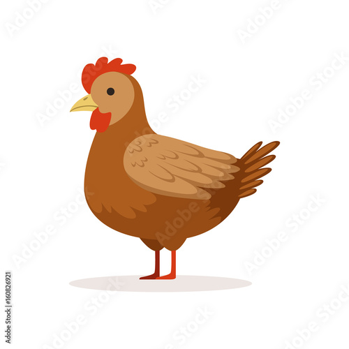 Brown hen, poultry breeding vector Illustration
