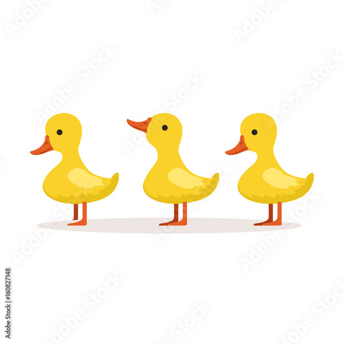 Three cute cartoon ducklings characters standing one after another vector Illustration