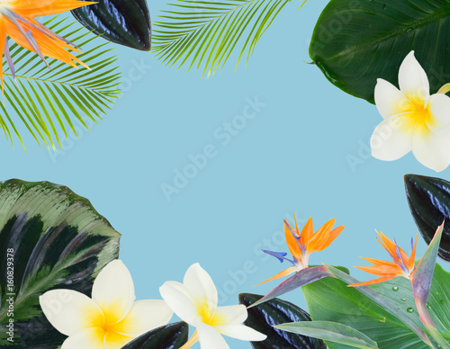 tropical fresh flowers and leaves - border of fresh strelizia bird of paradize flowers and exotic palm leaves on blue background photo