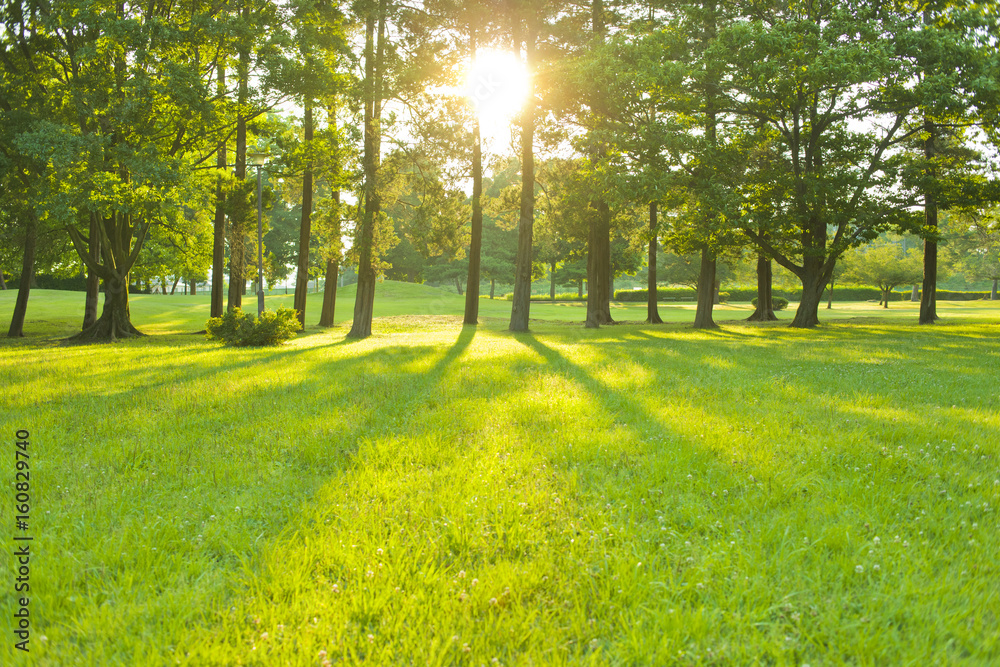 公園 太陽光 公園 太陽光