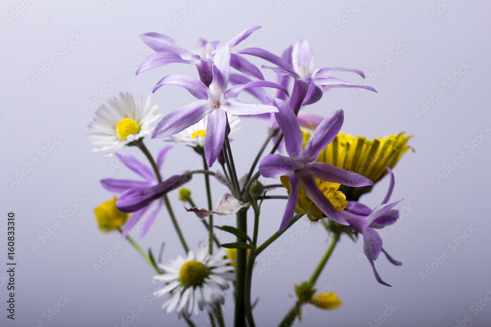 Naklejka premium flowers