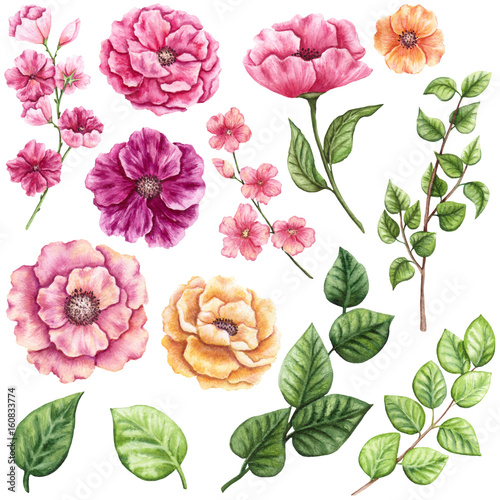 Set of Watercolor Greenery and Pink Flowers