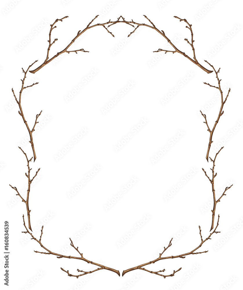 Obraz premium Frame from tree branches, isolated object, vector illustration