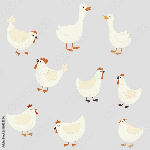 Set of cute cartoon farm birds