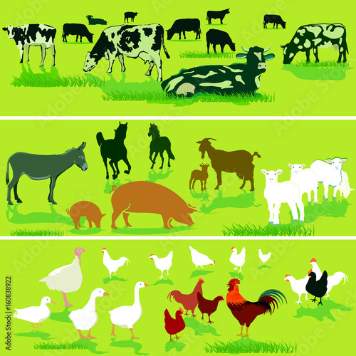 Bauernhof Tiere auf der Wiese