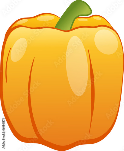 Vector drawing of pepper