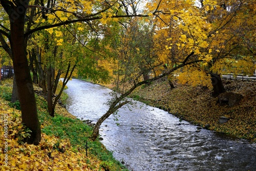 Obraz na płótnie River Vilnele in Vilnius town on autumn time w salonie