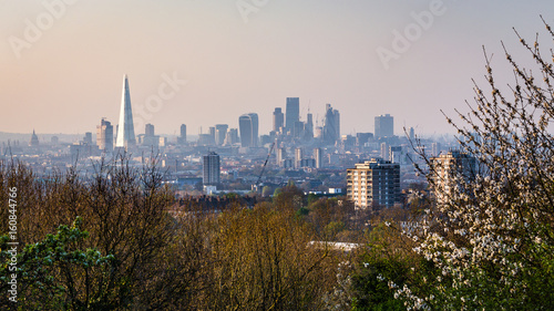 View over London's city centre from One Tree Hill in South-East London photo