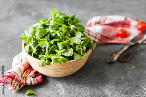 Lambs-lettuce photo