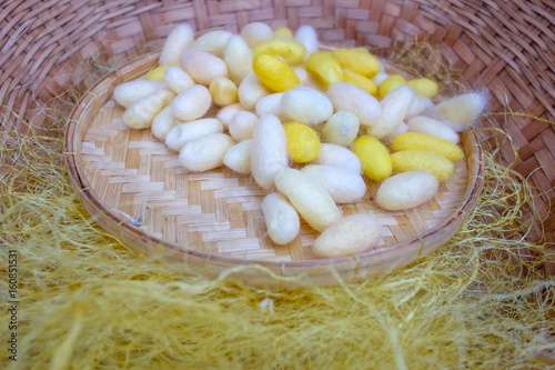 Cocoon in a basket. photo