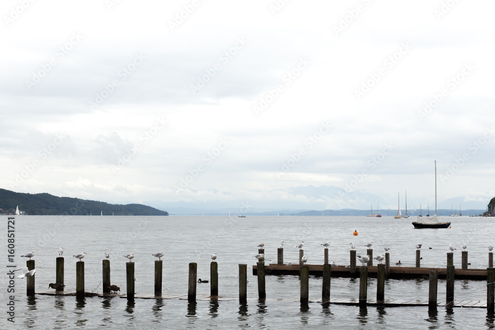Gulls on wooden pier on Lake Starnberg , Germany with bright clear blue sky and mountains background.