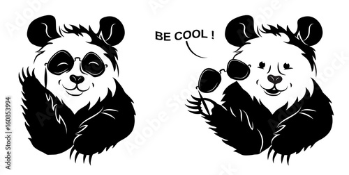 Cool Panda Draws Off Glasses.