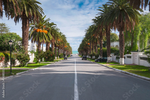 Road in the suburbs leading to the sea among the palms, Tunis