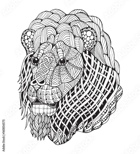 Fototapeta Naklejka Na Ścianę i Meble -  Lion head zentangle stylized, vector, illustration, freehand pencil, hand drawn, pattern. Zen art.