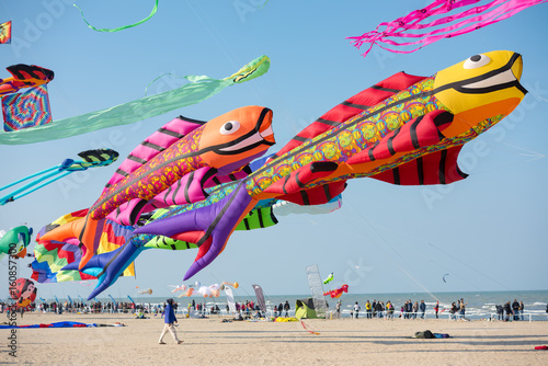 Giant carp kites on the beach