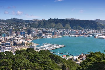 Crédence de cuisine Nouvelle-Zélande Baie de Wellington au coucher du soleil  © Tupungato