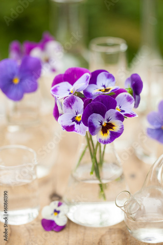 pansy flowers in chemical glassware  table decoration in garden