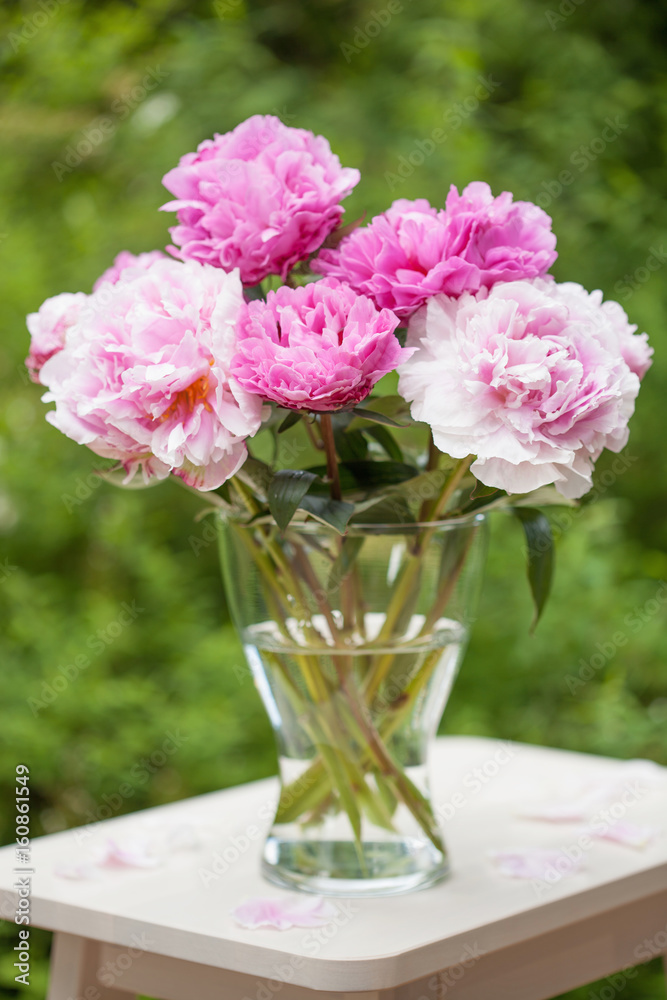 beautiful pink peony flowers bouquet in garden beautiful pink peony flowers bouquet in garden