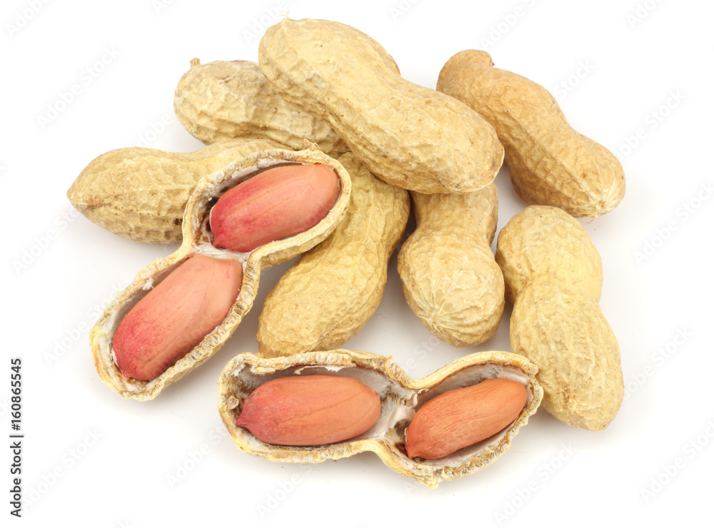 peanuts isolated on the white background peanuts isolated on the white background