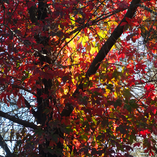 Autumn in Cape Town