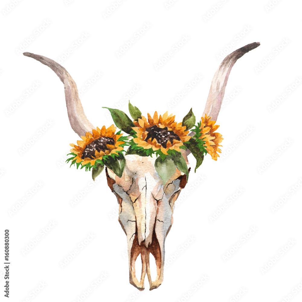 Watercolor isolated bull's head with flowers and feathers on white ...