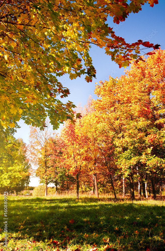 autumn landscape autumn landscape