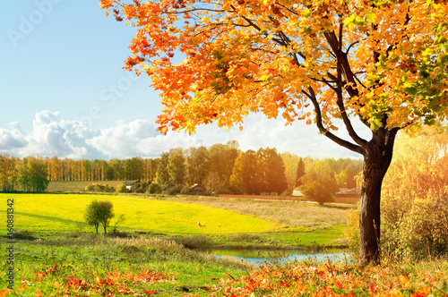 Autumn landscape