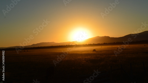 Yellow Sunset