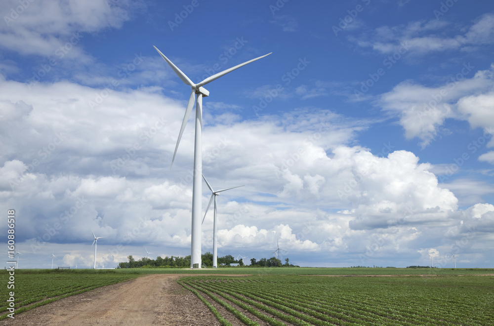 Wind turbines in soybean field on sunny day with clouds and blue sky Wind turbines in soybean field on sunny day with clouds and blue sky