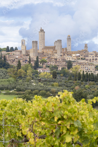 Historic centre of San Gimignano from vineyards in autumn. San Giminiano, Elsa valley,Siena province, Tuscany, Italy, Europe