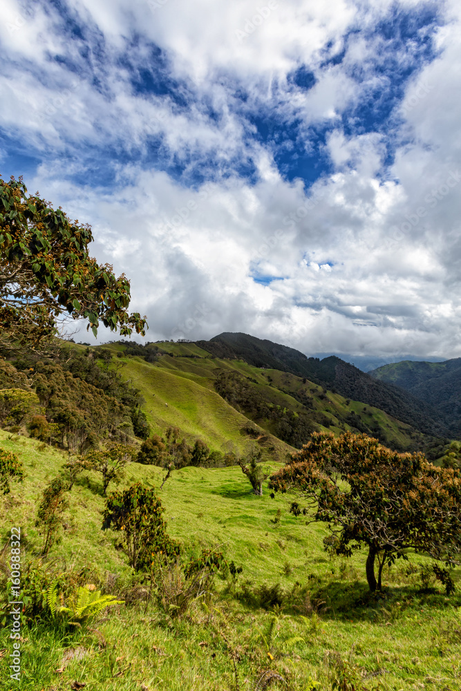 Portrait view of a valley in the mountains outside of Salento, Colombia.