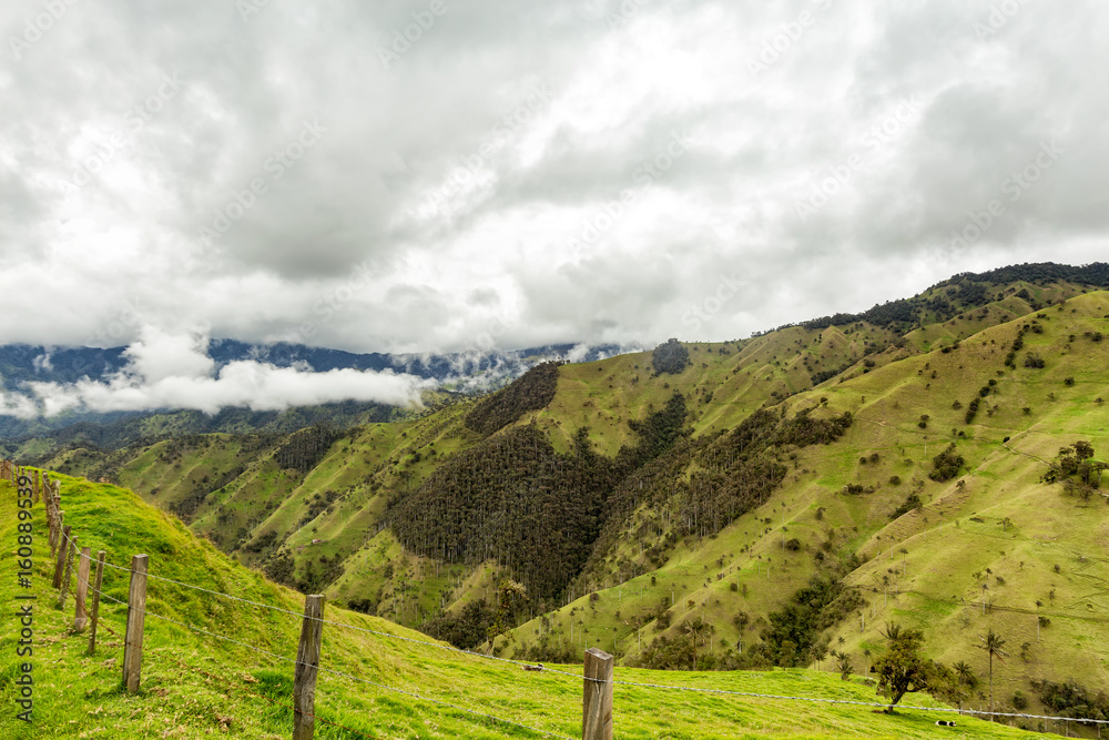 Fences disappear into the distance in the mountains outside of Salento, Colombia.