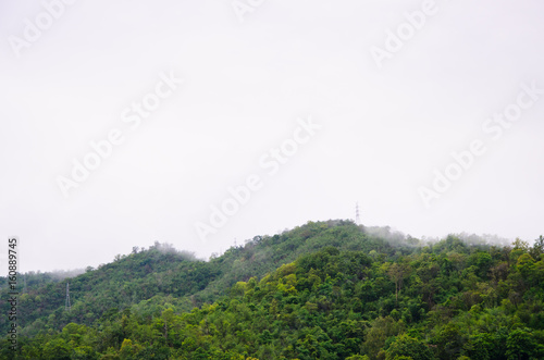 The forest at the front of the mountains in the fog and low lying cloud; Thailand