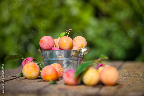 Fototapeta Naklejka Na Ścianę i Meble -  Fresh plums
