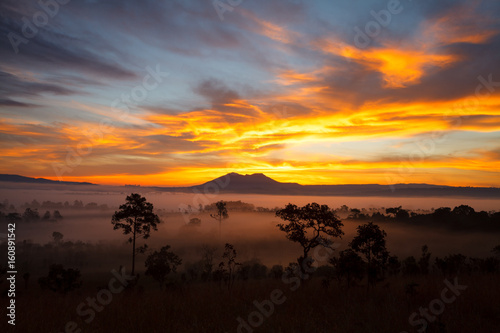 Misty morning sunrise at Thung Salang Luang National Park Phetchabun Tung slang luang is Grassland savannah in Thailand
