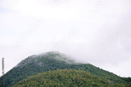 The forest at the front of the mountains in the fog and low lying cloud  Srinakarin Dam Kanchanaburi Thailand