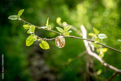 Two rings on a branch with leaves